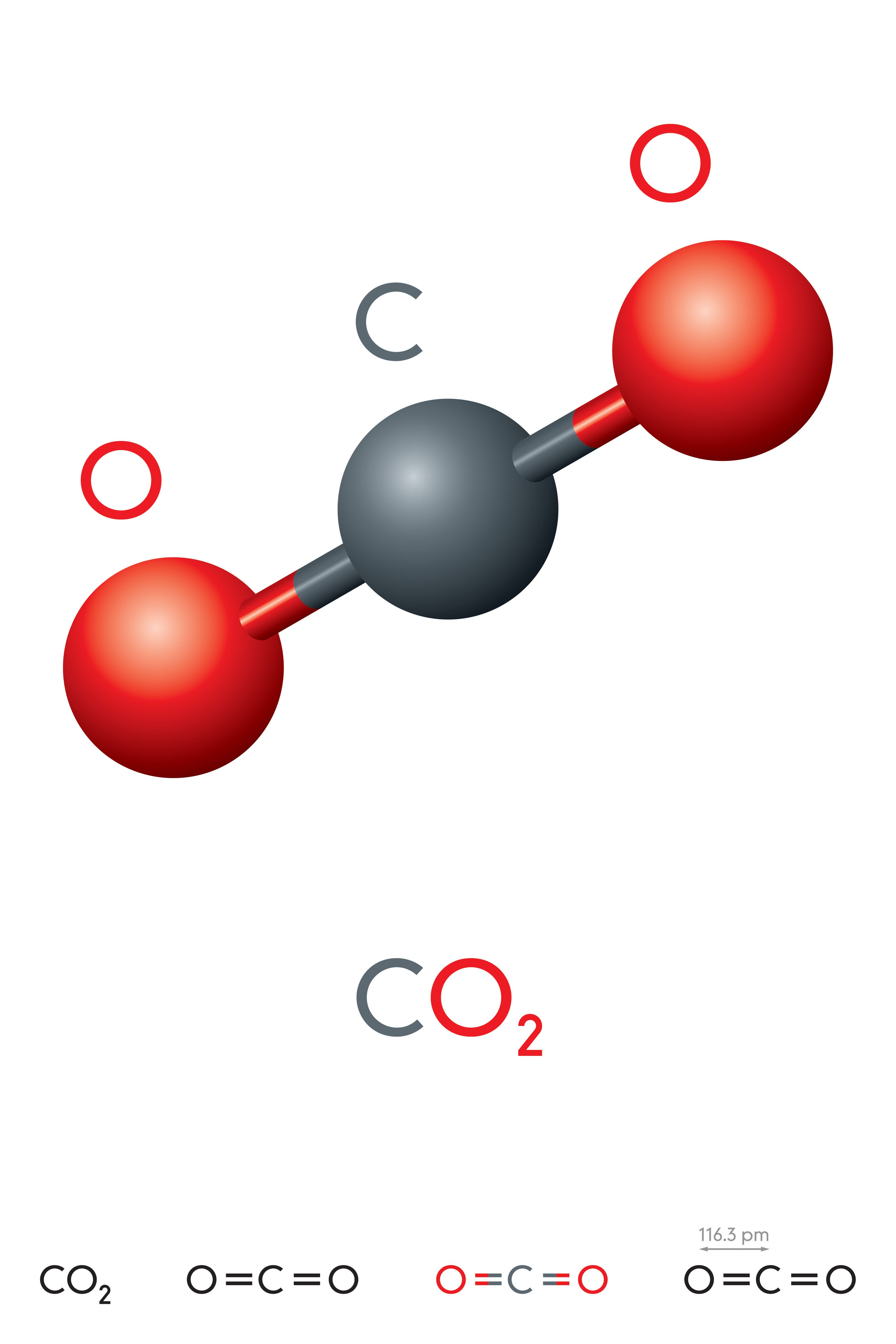 Carbon Dioxide Co Atomic Diagram Royalty Free Stock Photo Image My